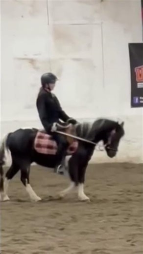 Got to ride pony today 😝 #horse #equestrianjourney #fypシ゚viral #equestrian #ponymalta #equestrian