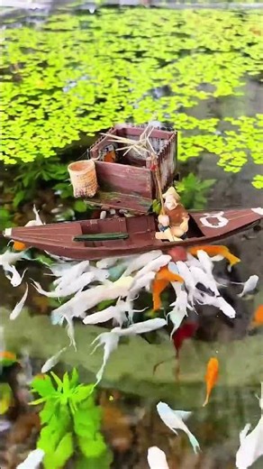 ▶️This Is Why People Dream of Backyard Like This