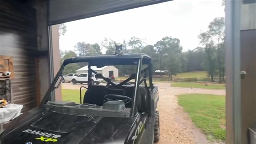 53K views · 4.9K reactions | Baby goats help with morning chores | Ima Survivor Donkey and Farm Animal Sanctuary | Facebook