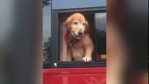 40K views · 4.4K reactions | Rest In Peace Writer man. 2008-2022...