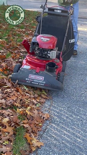 Vacuuming Up Oak Tree Leaves With My Yard Vacuum