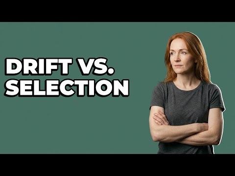 Can Genetic Drift Lead To Adaptation Like Natural Selection?