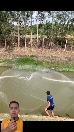 Best cast net throw you ever seen #shorts #viral #fish #fishing #viralvideo