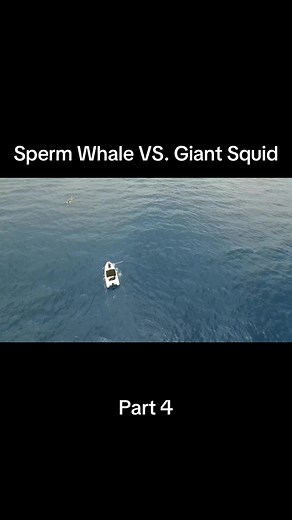 www.science3d.education Join biologists and engineers on a Science 3D expedition to the Caribbean Sea to unravel one of nature’s deepest mysteries. The ancient battle between sperm whales and giant squid! We'll use STEM; science, technology, engineering, and math to search the ocean depths to witness the world’s first documented clash between these elusive giants! Science 3D brings students into the field with scientists on real research missions and covers core STEM curriculum for grades 3 thro