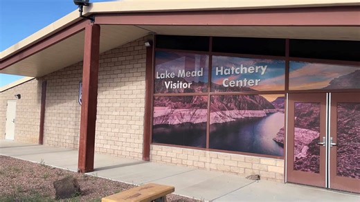 Lake Mead's fish hatchery on brink of big things after major retrofit