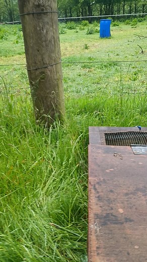 Helle Nielsen on Reels