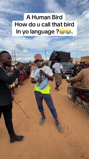 A Human Bird: Funniest Animal Sounds Compilation