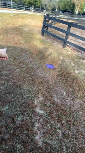 Bill & Carolyn - Thoughts? This mom threatened to throw her daughter's iPad out the window if she didn't listen, and the the daughter didn't listen! | Classic Hits Coast 101.1