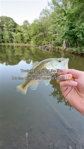 Be the first one to like 👀 #fishing #fihh #bassfishing
