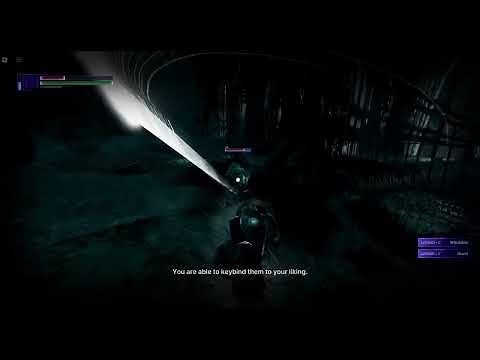 Basic Combat Part 1 | Lost veil