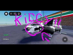 Cross the street simulator!!!! (I need to find her kitty)