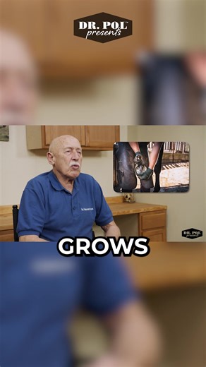Let's talk hoof care! #DrPol | hooves cleaning