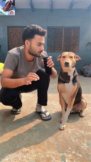 Dogesh bhai bhi chahate hai ki free fire se hacker remove ho jaye #freefire #youtubeshorts #shorts