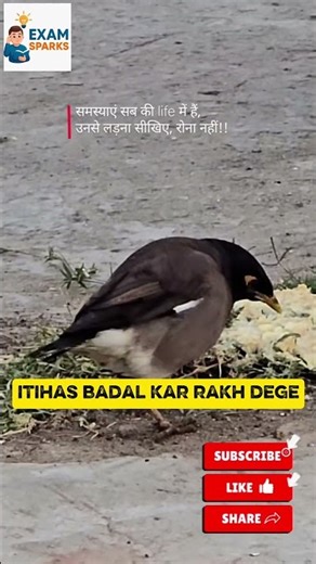 #Motivation #Inspiration #exam #Success #StudyMotivation #ExamPrep#BelieveInYourself#viralshorts