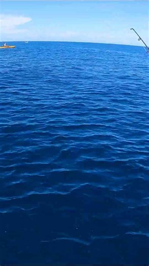 Girl gets spooled by monster fish!