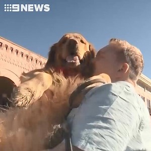 33K views · 458 reactions | There's been a special paw-ty in the US,...