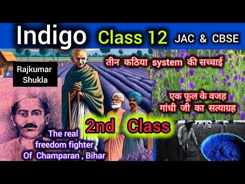 Indigo class 12 ( Flamingo book ) the story of Indigo Farming in Champaran Village #english #12th
