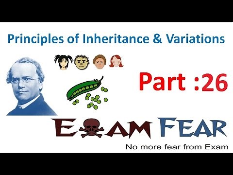 Biology Inheritance Principle part 26 (Morgan dihybrid cross experiment) class 12 XII