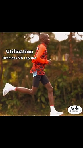 Utilisation glucides VS graisses 🤔 🎙 Prochain épisode avec Karoly Spy @ks_endurancetraining pour aborder tout ce qui touche à l'endurance, les différents métabolismes, les différents entraînements et leurs rôles, etc 🤝 Partenaires @laroq_fitness : Envoie-moi un message si tu souhaites commander du matériel avec une belle ristourne 🎁 @nutriandco : - 10% sur tout le site avec le code 'SYJOBODYGOALS' #runnerscommunity #runners_of_insta #running #courseapied #marathon #marathonrunner | Syjobodyg