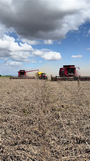 Massey Ferguson Tractors: Power and Precision