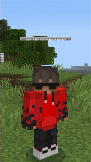 Make Your Elytra Unbreakable 😱