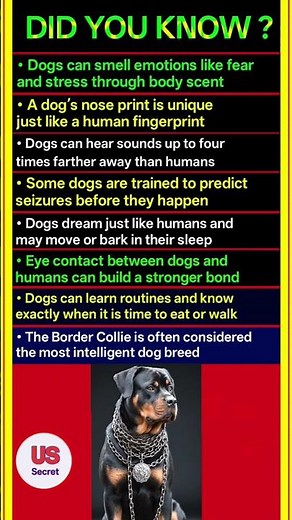 8 Amazing Dog Facts You Did Not Know