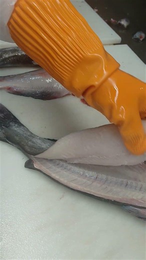 #Catfish #Fillet 🐋🫜 *How to fillet catfish* 👍💥