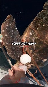 Man Saves Turtle Caught in Rope