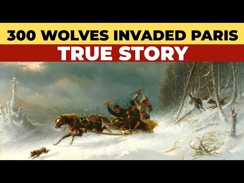300 Wolves Invaded Paris......