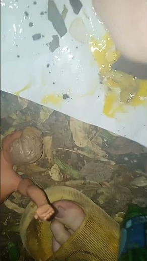 how to make the best chocolate cake in the world