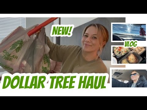 DOLLAR TREE HAUL | NEW | GREAT FINDS| VLOG