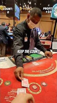 Play Double Deck Blackjack w/ a Professional Card Counter!