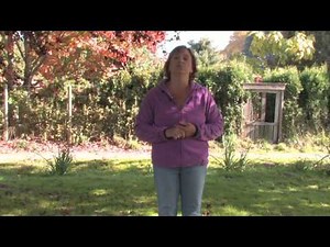 About Plants & Gardens : How Does Grass Grow?