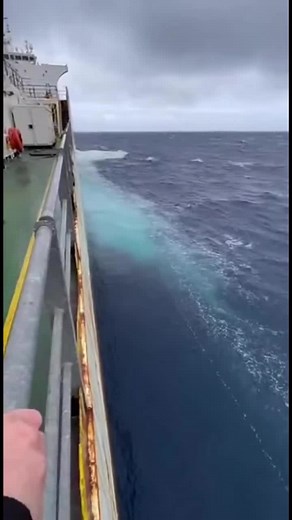 Giant Squid Emerges Beside the Ship in Deep Ocean Waters #deepsea #unexpected #usa