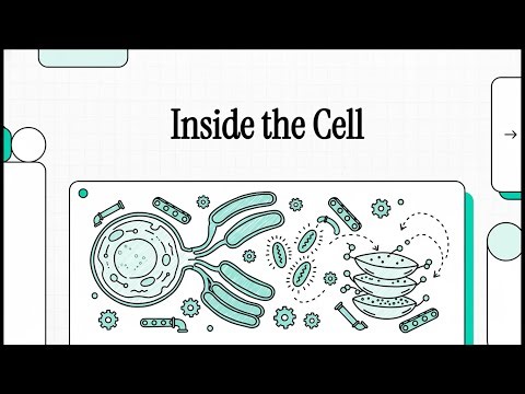 Lesson 4 (Module 2): Structures and Organelles | Biology Grade 9 Advanced