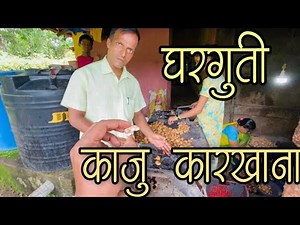 कोकणातील काजु कारखान । cashew nuts factory in Konkan