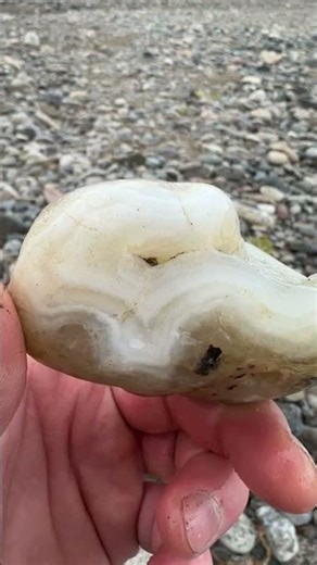 December hunting like spring on the Yellowstone. #rockhounding #yellowstone #agates #gemstone #find