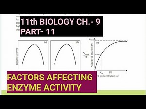 Class 11 Biology||Ch.-9 ||Part-11||Factors affecting Enzyme activity||Study with Farru