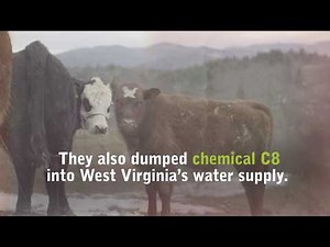 DOC SPOT: THE DEVIL WE KNOW