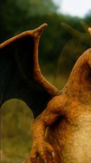 #006 Charizard in real life (AI) 🔥🐉