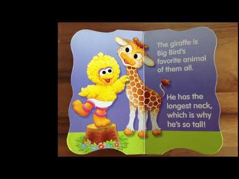 Sesame Street At the Zoo