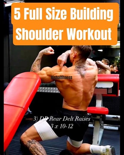 Best 5 Full Size Building Shoulder Exercises ( Effective For all categories)