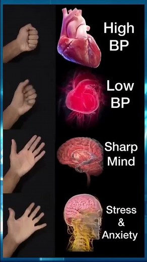 Hand Exercises for a Healthy Body 📌 Simple Moves, Big Benefits