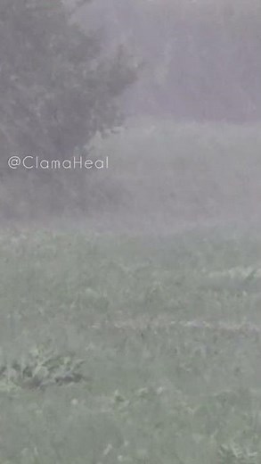 Stormy Rain and Windy Weather Sounds For Chill/Sleep | Calm and Heal Instrumental HD 2026