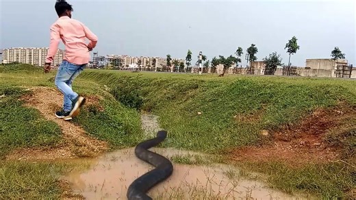 Temple run real life