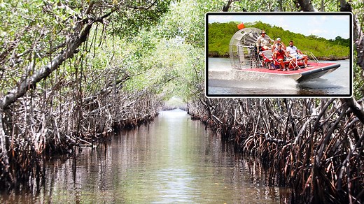 Private Mangrove Tunnel Airboat Tour - Captain Jack’s Airboat Tours