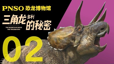 id_XNTE5NzYxMTgxNg==.html