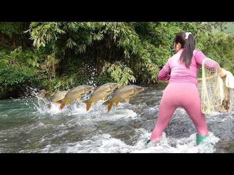 Ancient Fishing Techniques on Rivers, Uses Bait to Attract Fish Pulling The Nets Catch a Lot of Fish