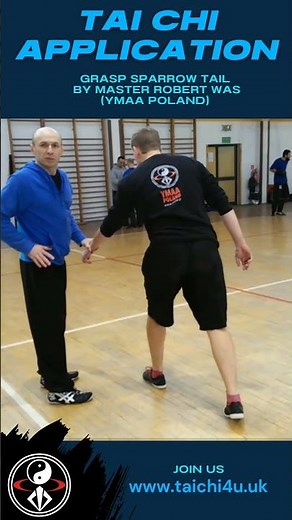 Tai Chi Application - Grasp Sparrow Tail - YMAA