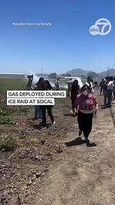 77K views · 782 reactions | Federal immigration agents clashed with protesters during a raid on a farm outside of Camarillo, California on July 10, 2025. In the footage, a young man is seen walking away from the scene while crying. | ABC7 News | Facebook